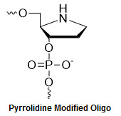 Bio-Synthesis Inc. Oligo Structure